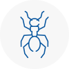 Ant Removals In Kirklees