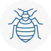 Bed Bug Extermination In Kirklees