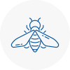 Bee Nest Removal Kirklees