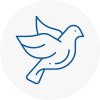 Bird Prevention Kirklees