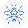 Kirklees Hornet Nest Removals