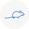Mice Exterminators In Kirklees