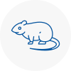 Rat Control Kirklees