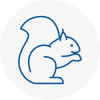 Kirklees Rodent Removals