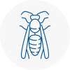 Kirklees Wasp Nest Removal